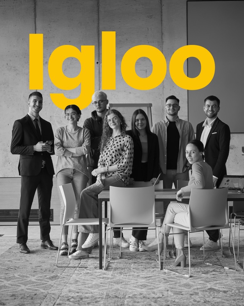 Igloo Homepage